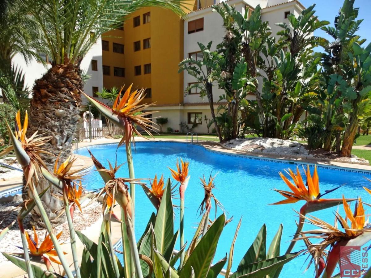 Apartamento Eleonor, La Entrada, Punta Prima, Torrevieja Ngoại thất bức ảnh